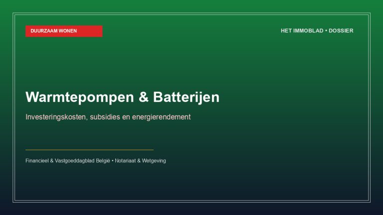 Warmtepompen en thuisbatterijen: rendabiliteit en subsidies voor eigenaars