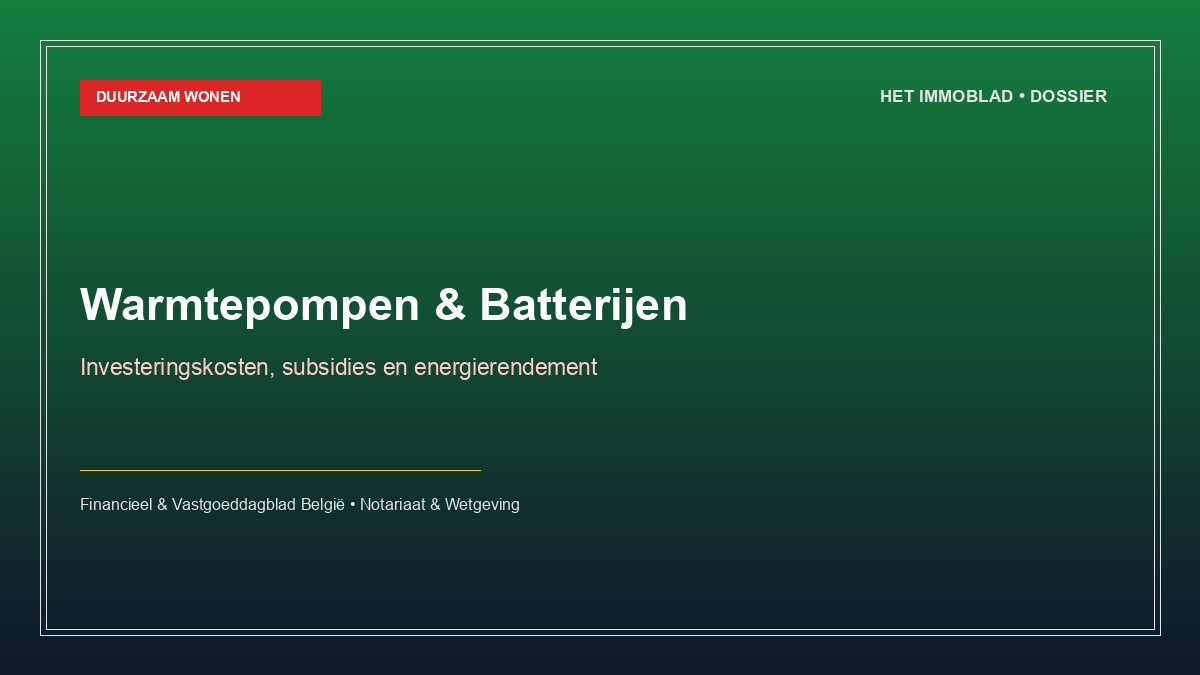 Warmtepompen en thuisbatterijen: rendabiliteit en subsidies voor eigenaars